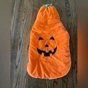 Pumpkin Dog Costume - Orange XL